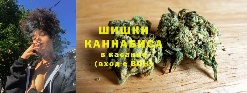 Канабис планчик  Бор 